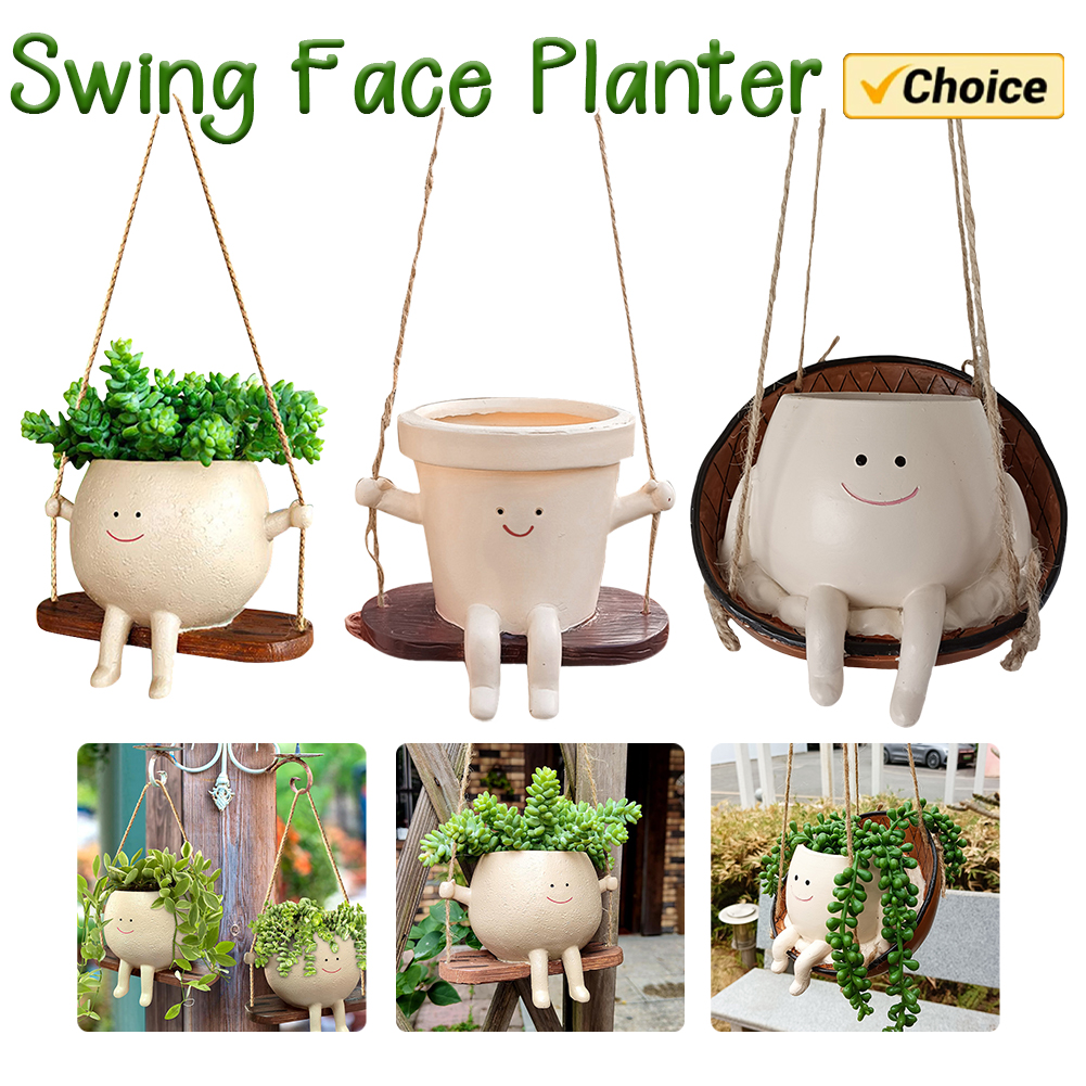 Plant Hanger Baskets Lovely Sw – Echeveria Succulent recenzja i cena