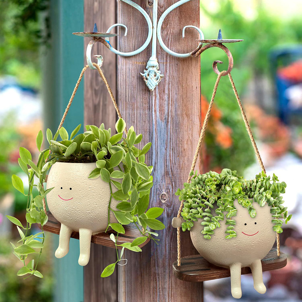Plant Hanger Baskets Lovely Sw – Echeveria Succulent recenzja i cena