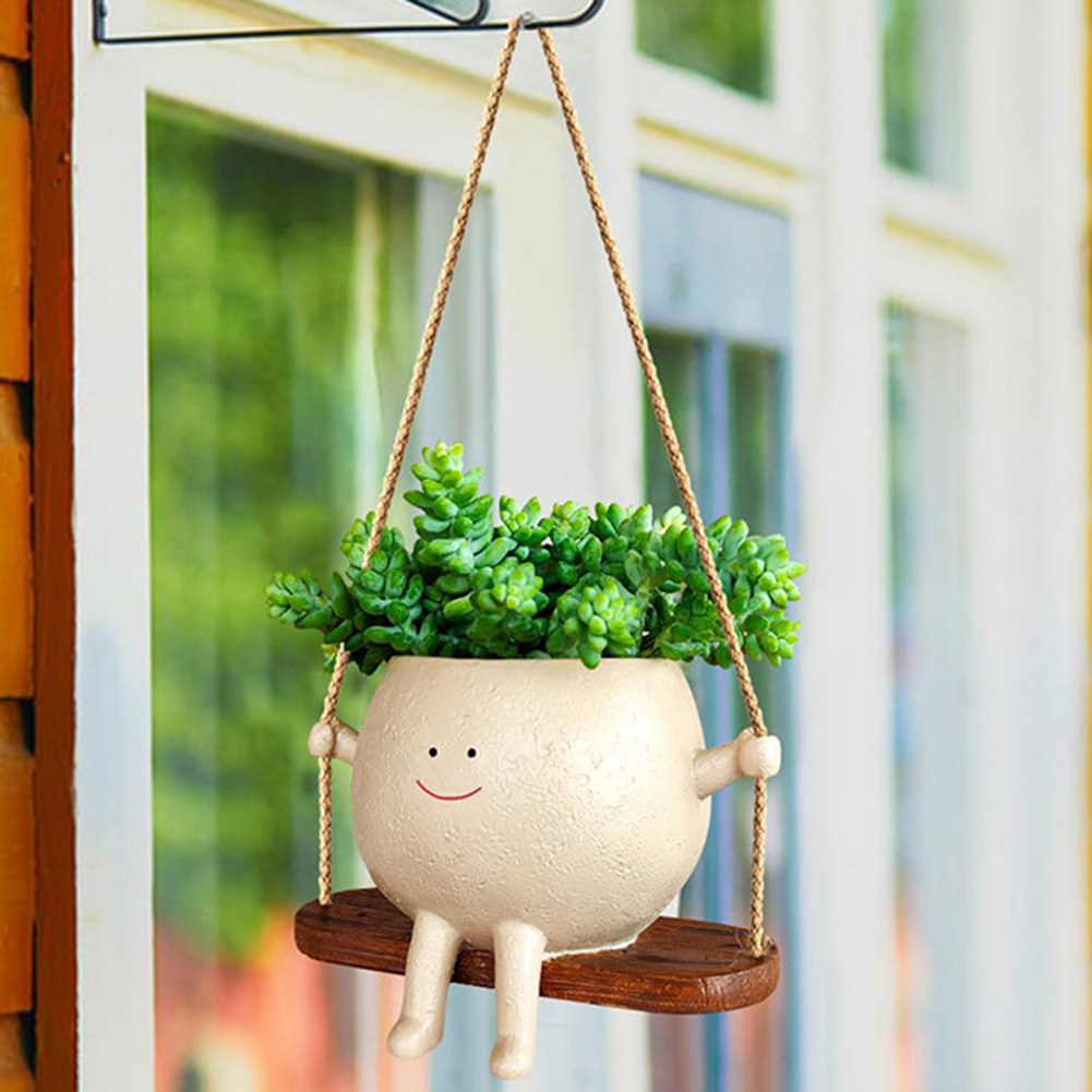 Plant Hanger Baskets Lovely Sw – Echeveria Succulent recenzja i cena