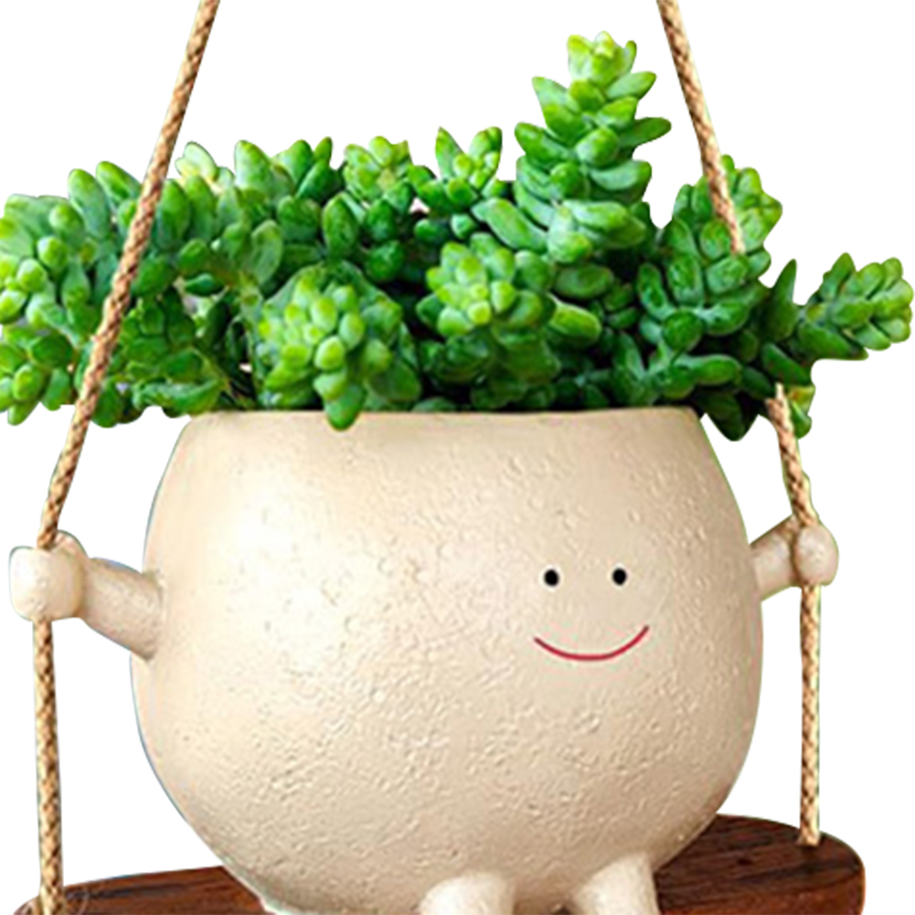 Plant Hanger Baskets Lovely Sw – Echeveria Succulent recenzja i cena