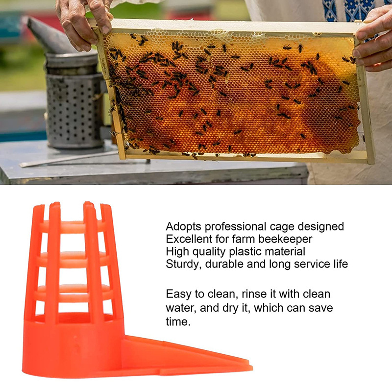 20 PcsKing Cells Plastic Bee Q – Begonia Rex recenzja i cena