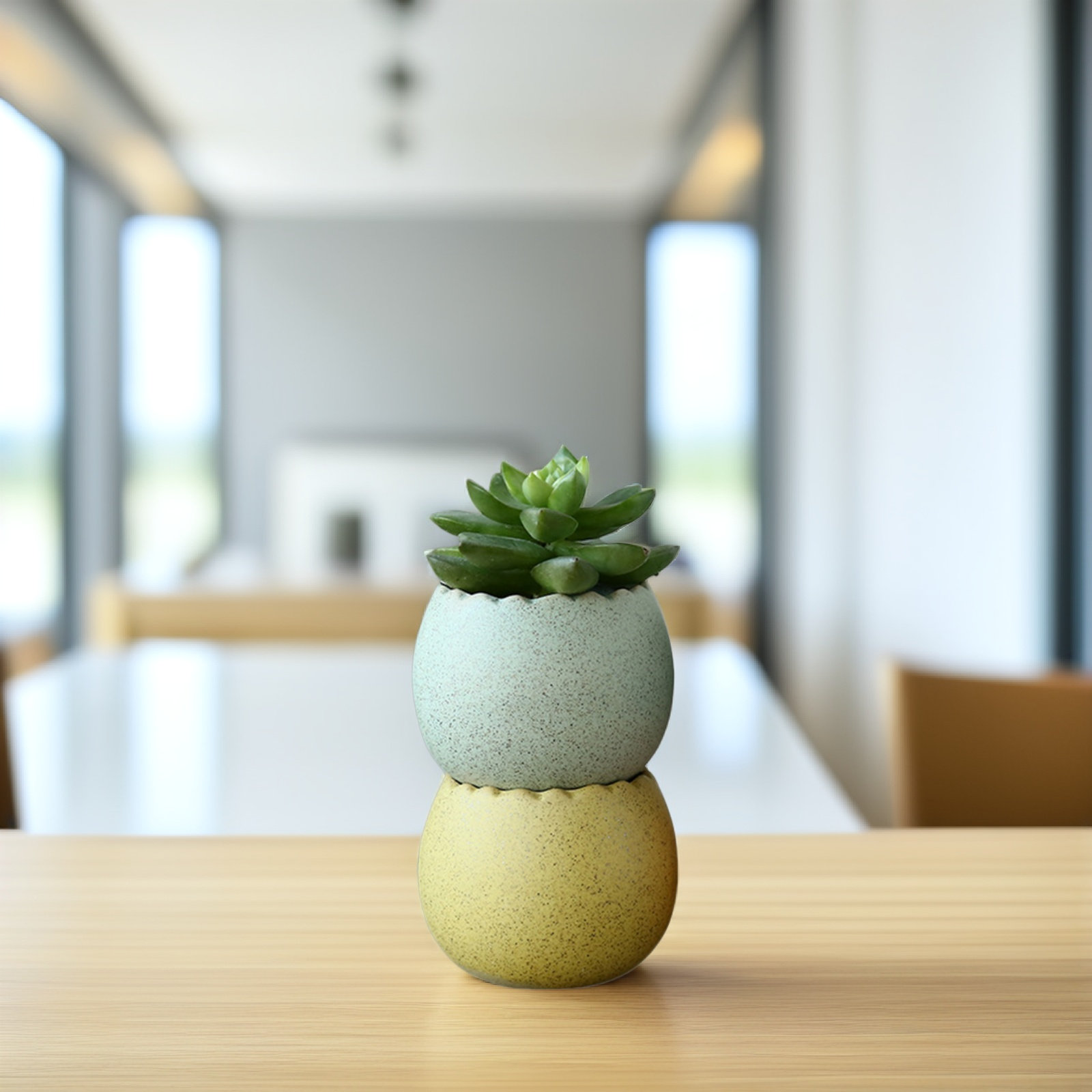 6Pcs Stylish Ceramic Mini Pots – Aloe Vera Pot recenzja i cena