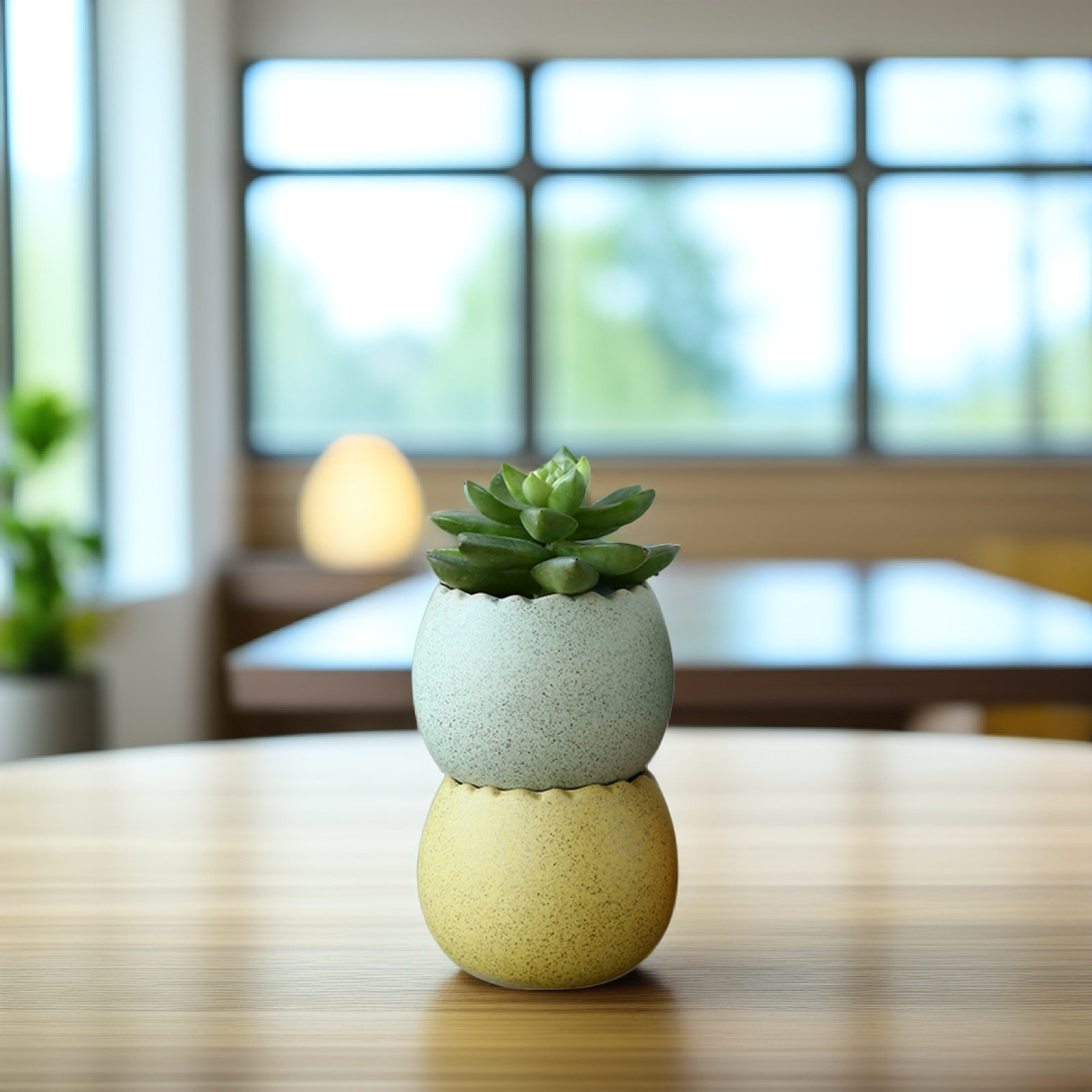 6Pcs Stylish Ceramic Mini Pots – Aloe Vera Pot recenzja i cena