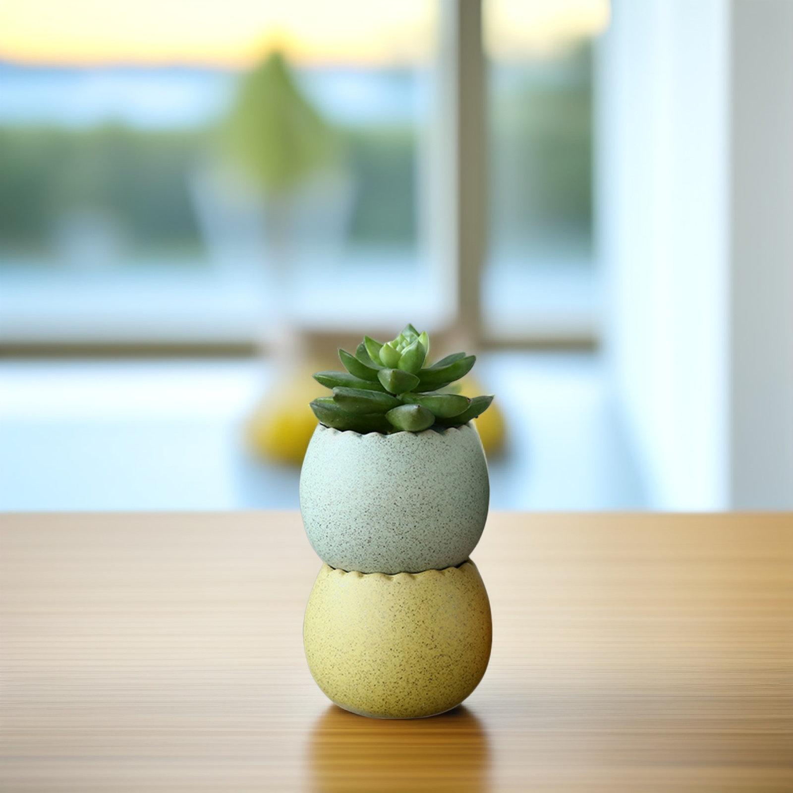 6Pcs Stylish Ceramic Mini Pots – Aloe Vera Pot recenzja i cena