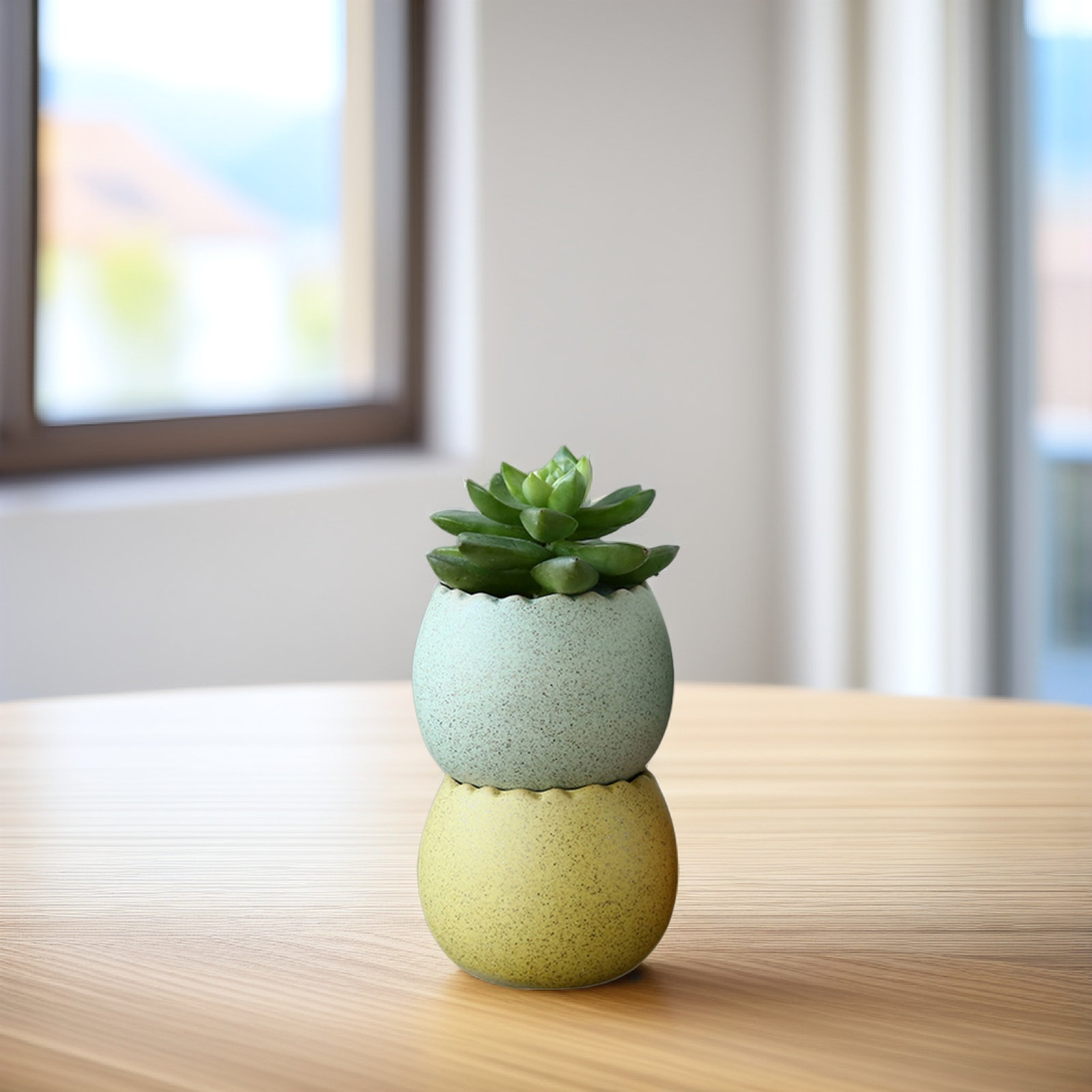 6Pcs Stylish Ceramic Mini Pots – Aloe Vera Pot recenzja i cena