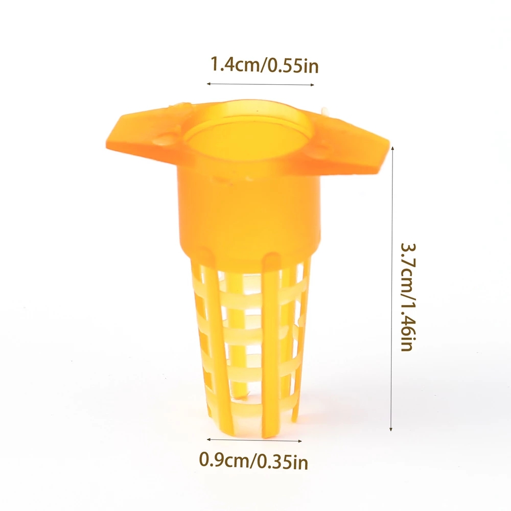 50 Pcs King Cells Plastic Bee  – Begonia Rex recenzja i cena