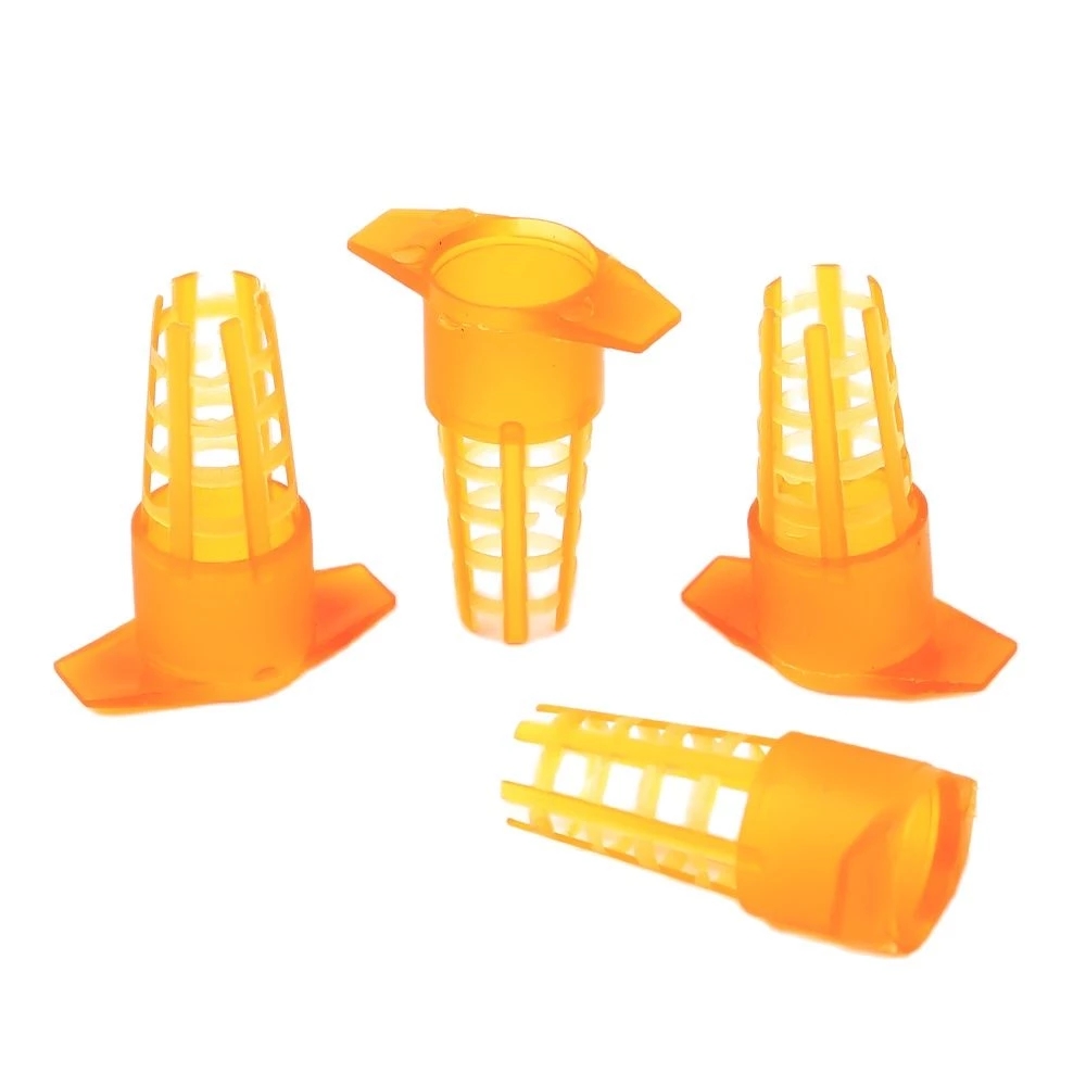 50 Pcs King Cells Plastic Bee  – Begonia Rex recenzja i cena