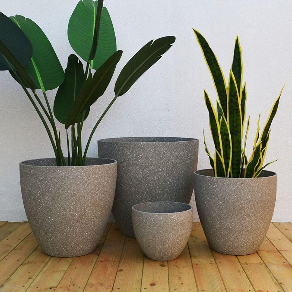 Frosted Imitation Stone Bonsai – Aloe Vera Pot recenzja i cena