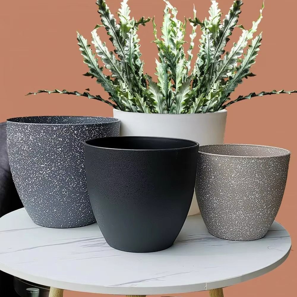 Frosted Imitation Stone Bonsai – Aloe Vera Pot recenzja i cena