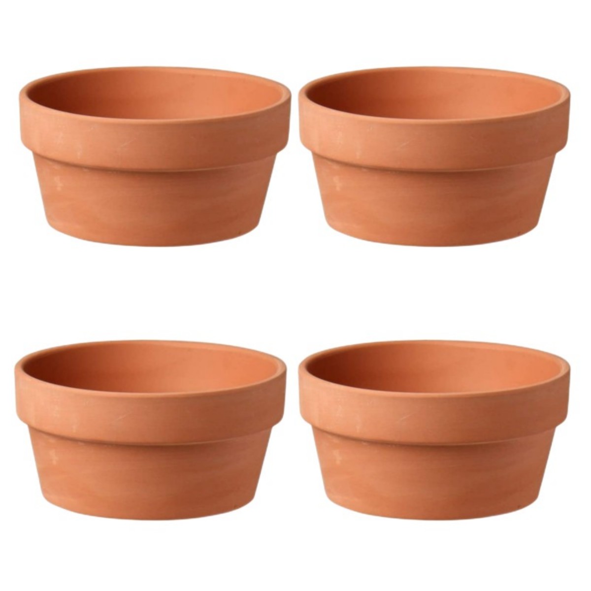 6 PCS Terracotta Buld Pots 3.5 – Echeveria Succulent recenzja i cena