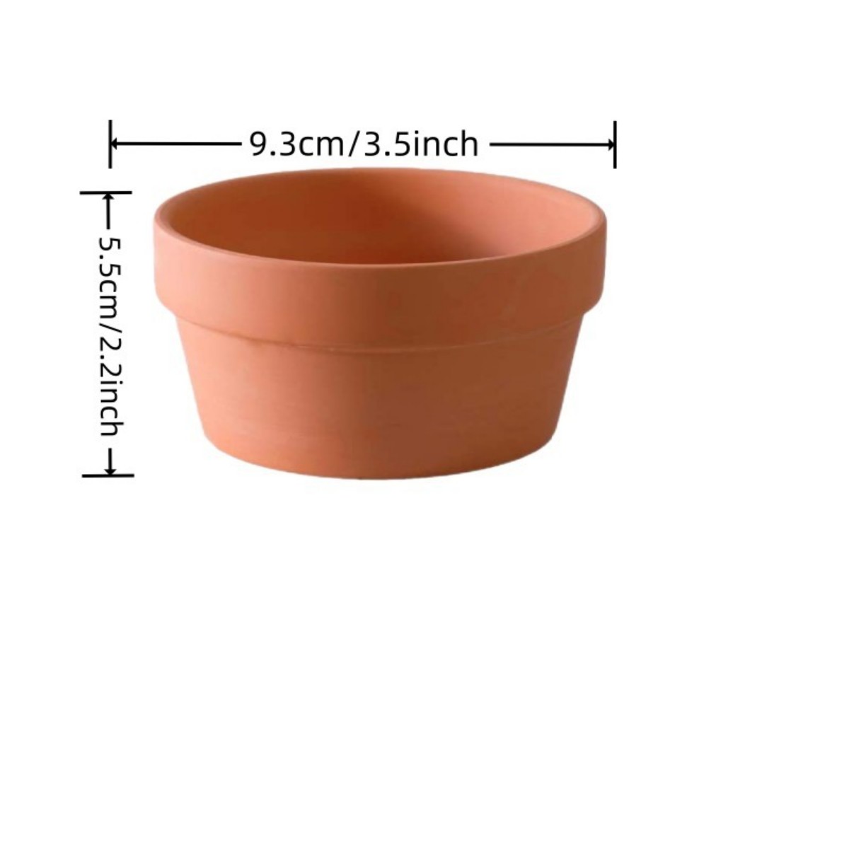 6 PCS Terracotta Buld Pots 3.5 – Echeveria Succulent recenzja i cena