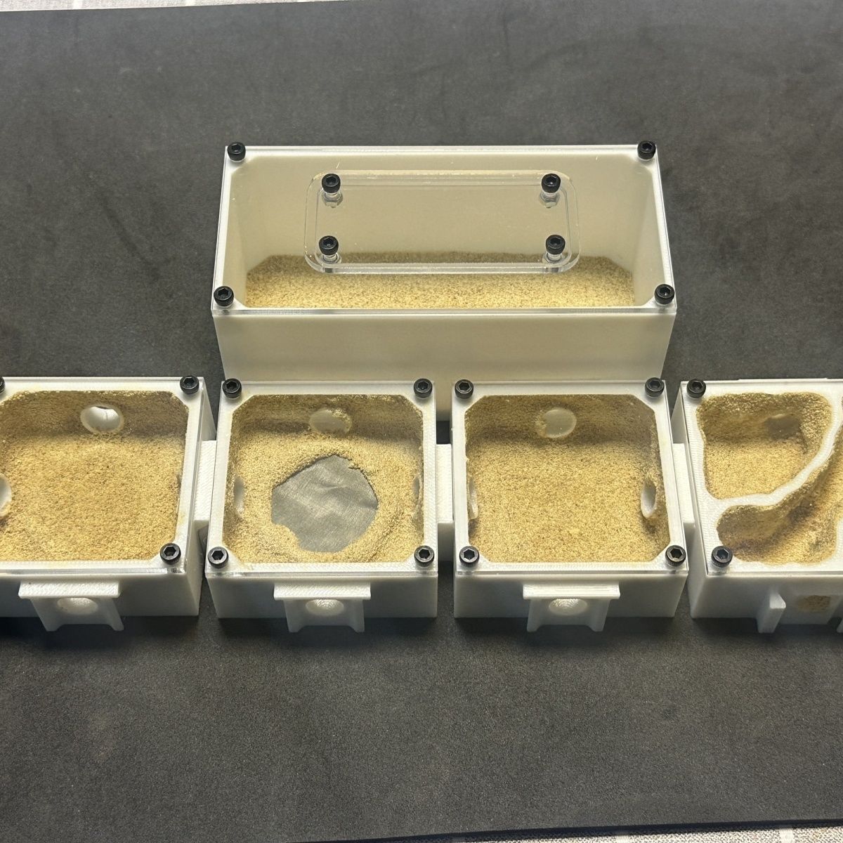 Ants Farm with Water Feeder fo – Begonia Rex recenzja i cena