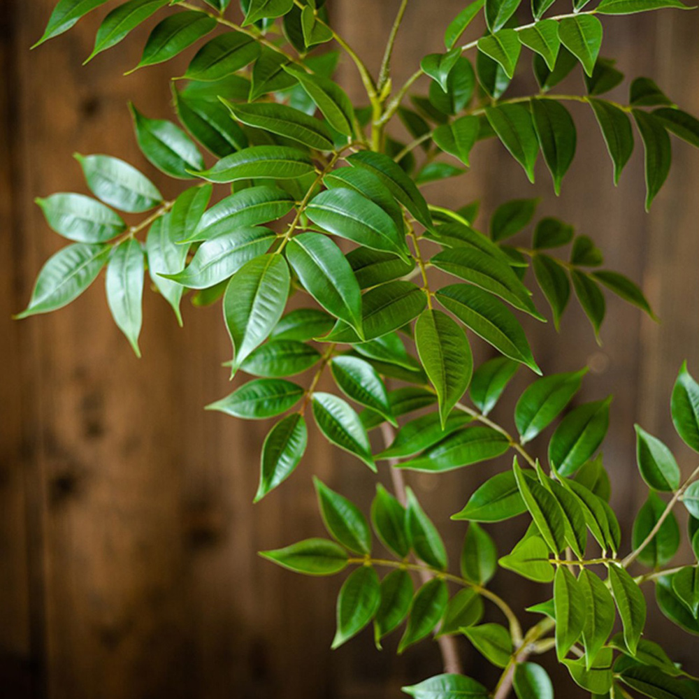 76-140cm Large Artificial Ficu – Ficus Lyrata Tree recenzja i cena