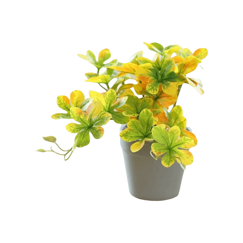 Bonsai Artificial Bonsai Plant – Spider Plant Hanging recenzja i cena