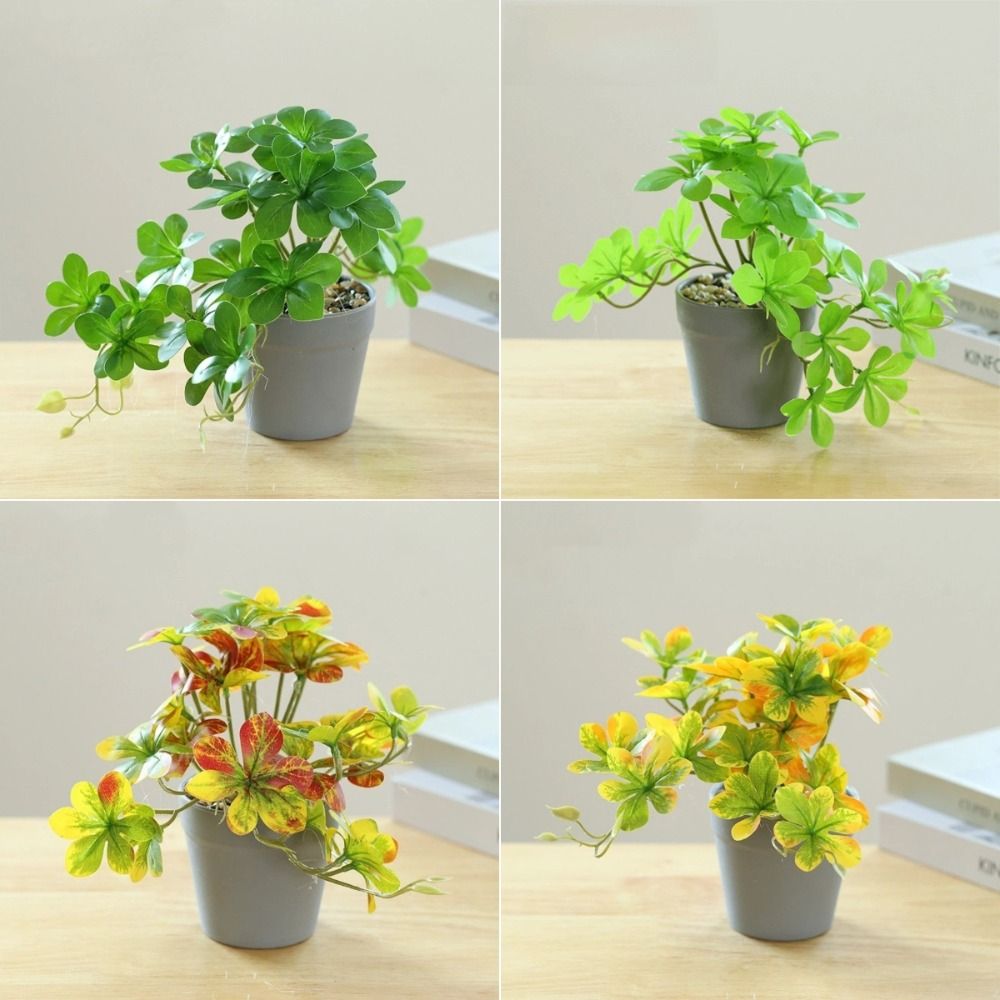 Bonsai Artificial Bonsai Plant – Spider Plant Hanging recenzja i cena
