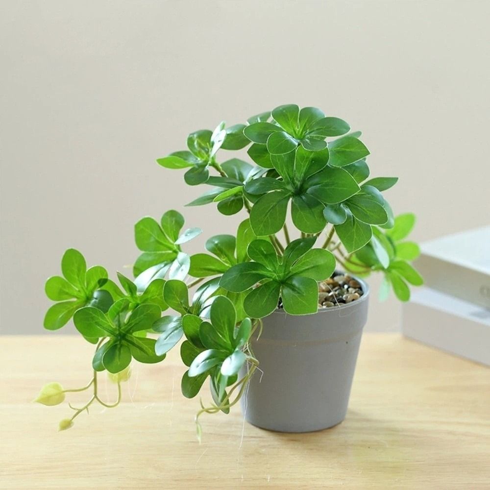 Bonsai Artificial Bonsai Plant – Spider Plant Hanging recenzja i cena