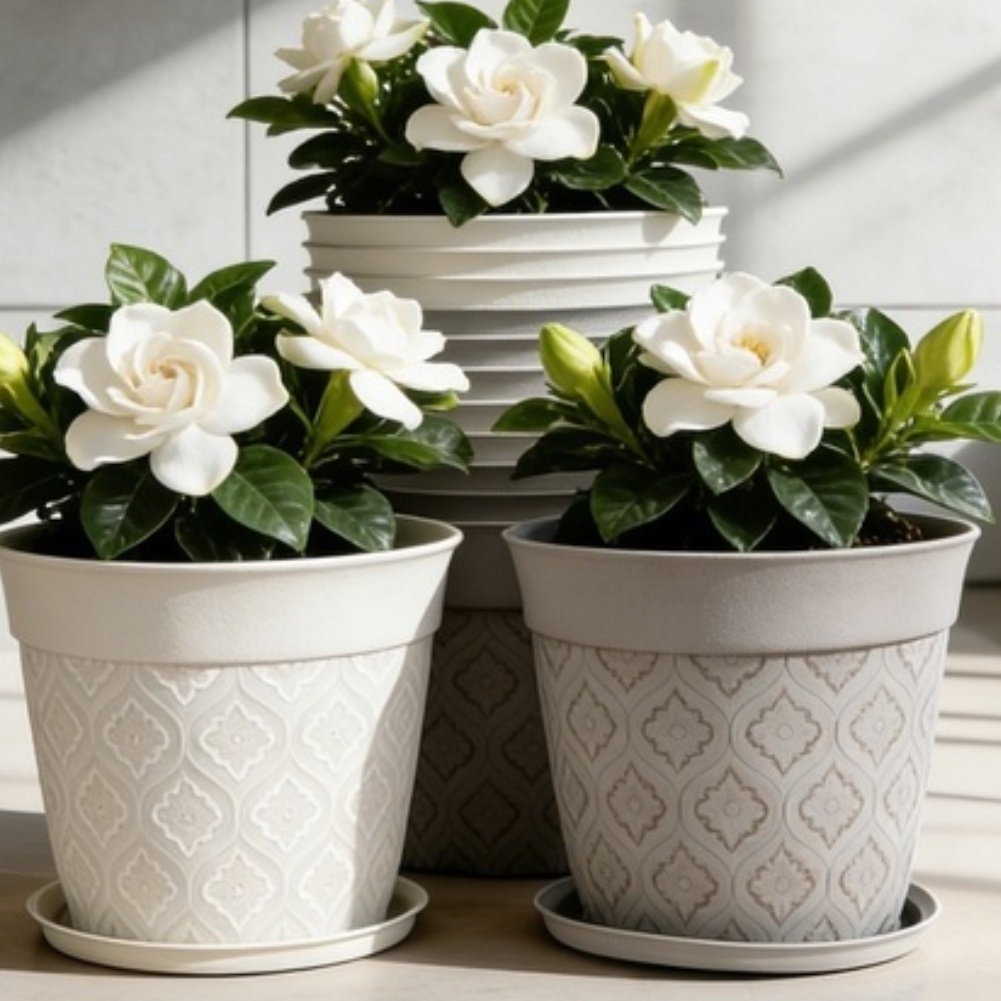 8in Flower Pot With Drainage H – Echeveria Succulent recenzja i cena
