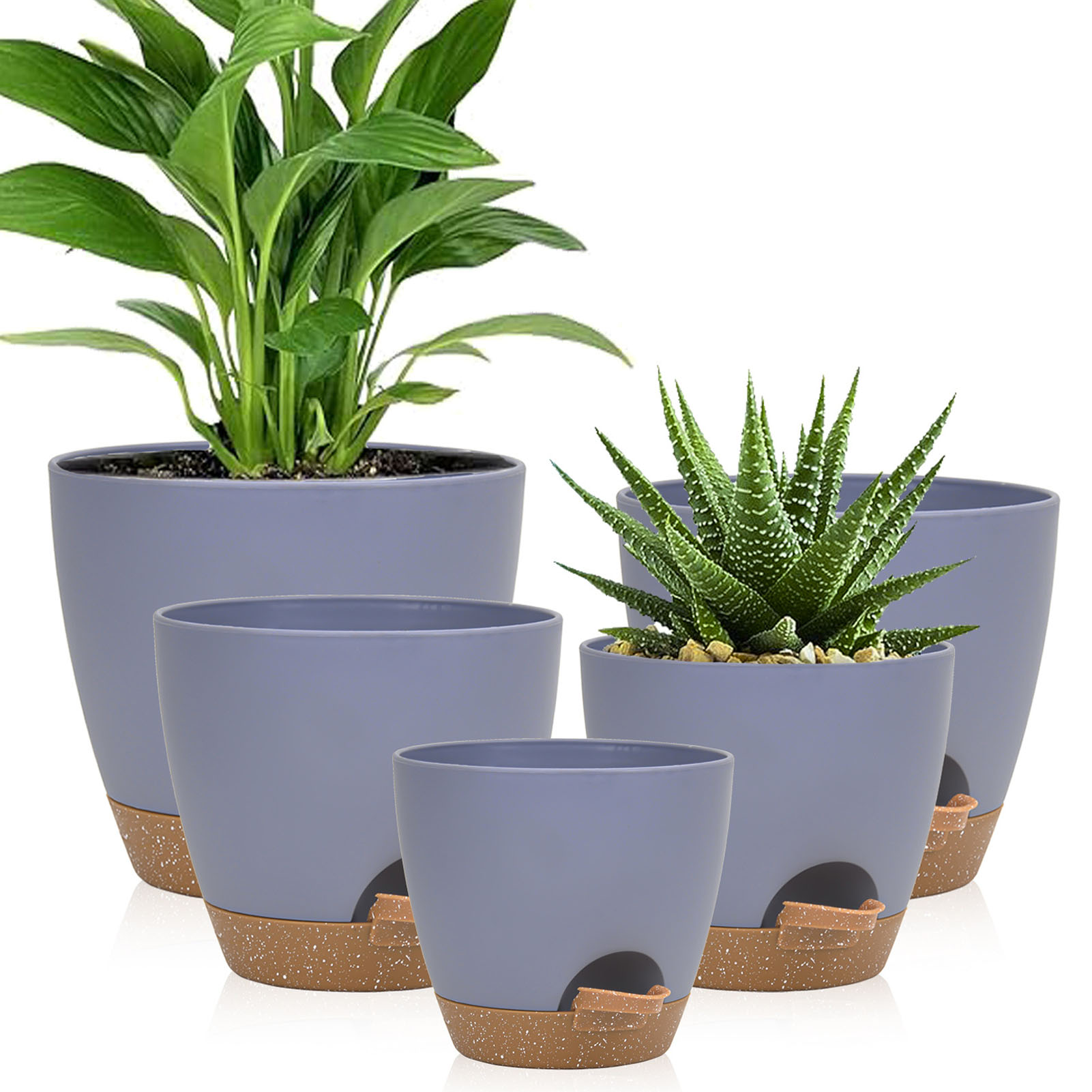 5piece Indoor Flower Pots With – Aloe Vera Pot recenzja i cena