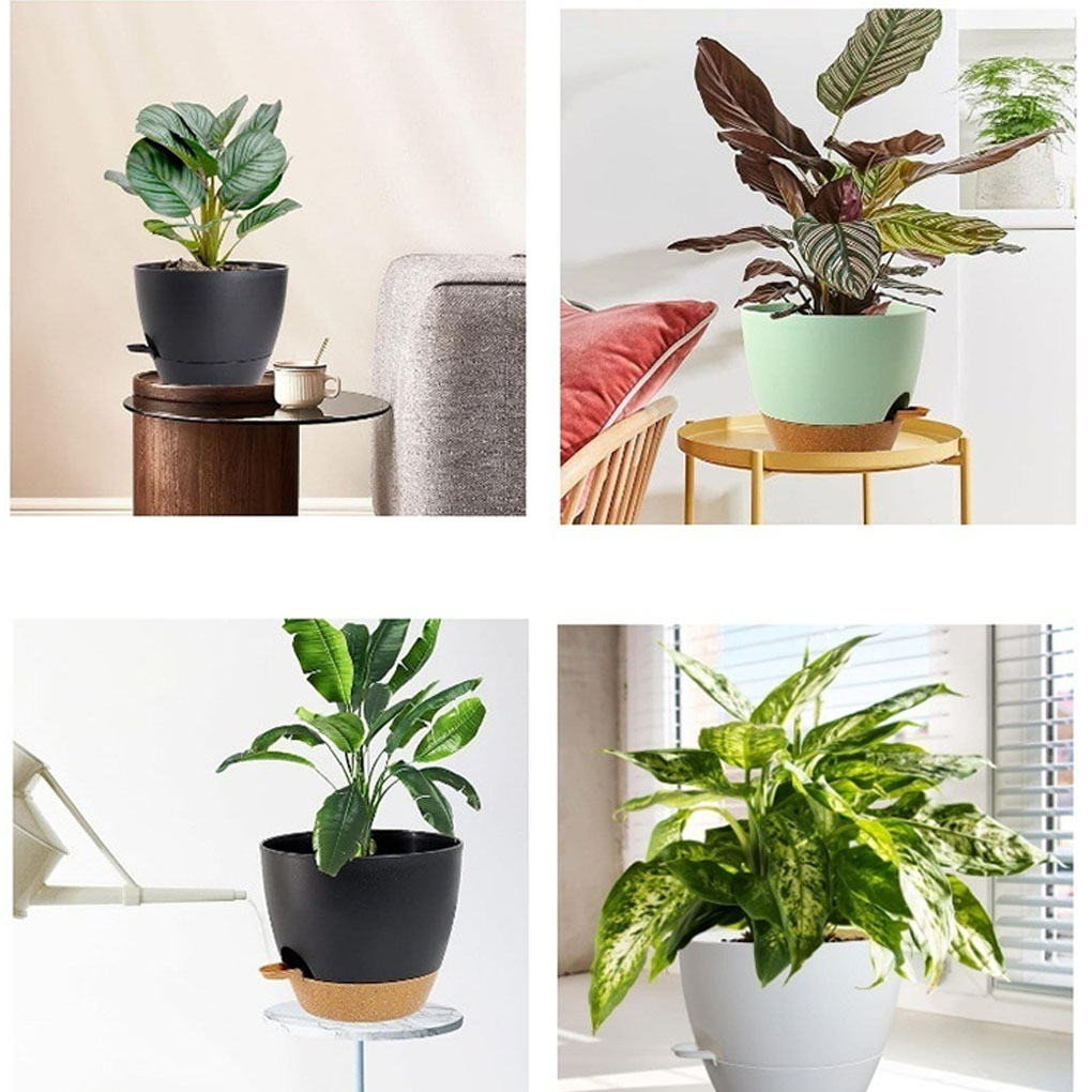 5piece Indoor Flower Pots With – Aloe Vera Pot recenzja i cena