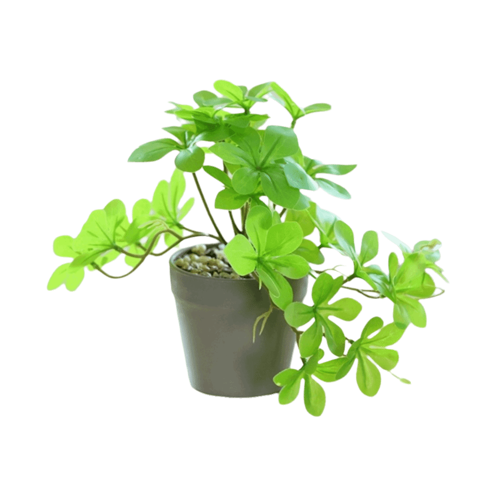 Bonsai Artificial Bonsai Plant – Spider Plant Hanging recenzja i cena