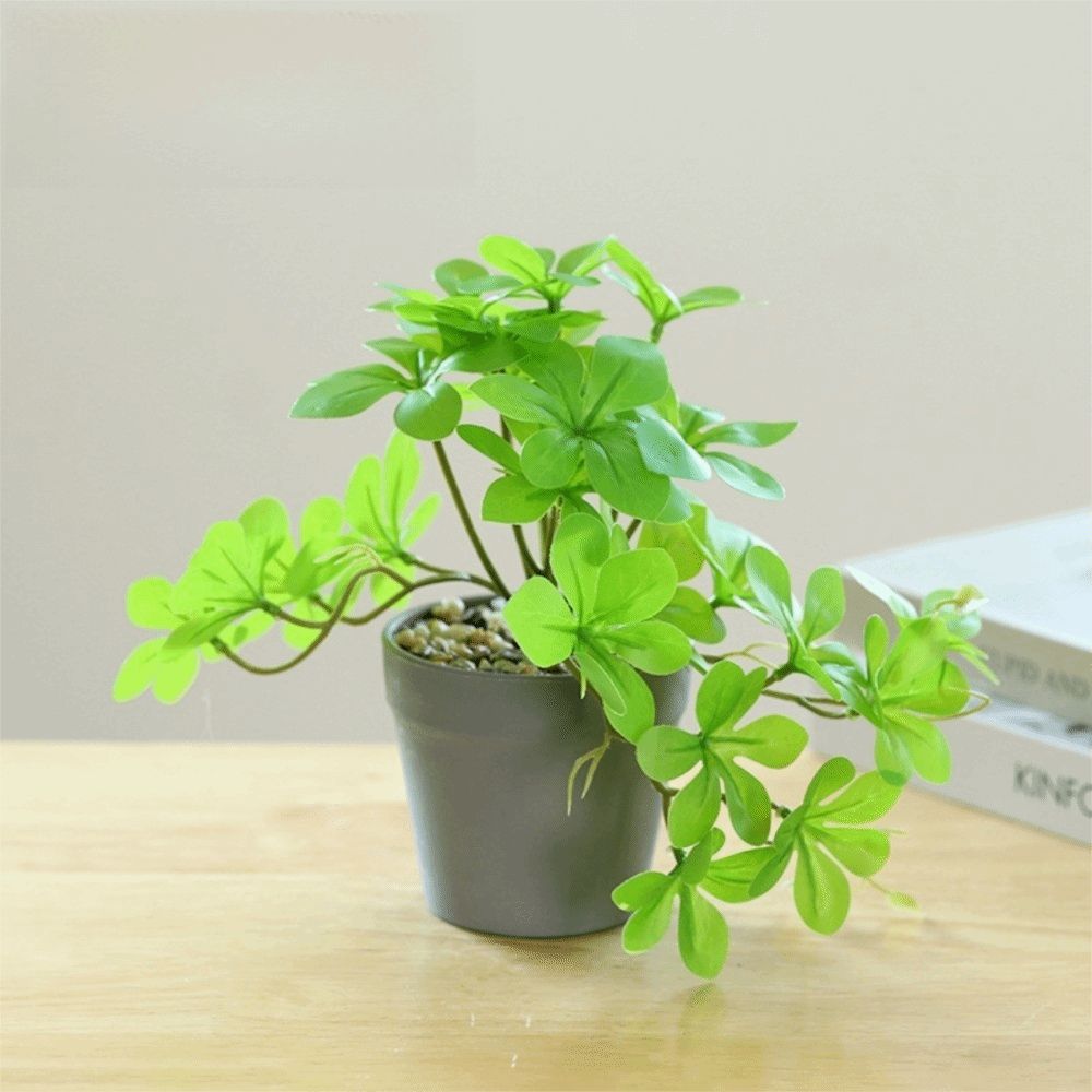 Bonsai Artificial Bonsai Plant – Spider Plant Hanging recenzja i cena