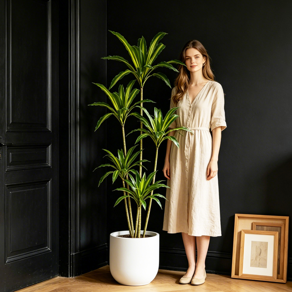 80-165cm Large Artifcial Draca – Dracaena Marginata recenzja i cena