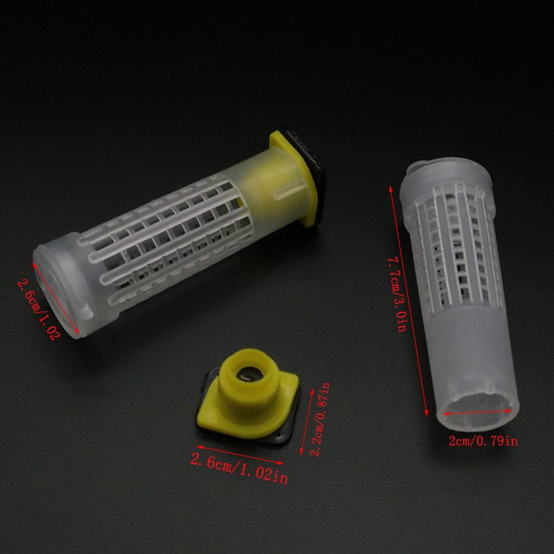 1 Set Bees Tools Cages King Qu – Begonia Rex recenzja i cena