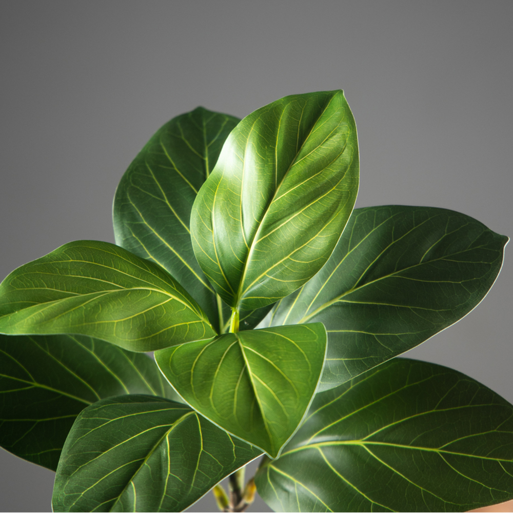 70-130cm Large Artificial Bany – Ficus Lyrata Tree recenzja i cena