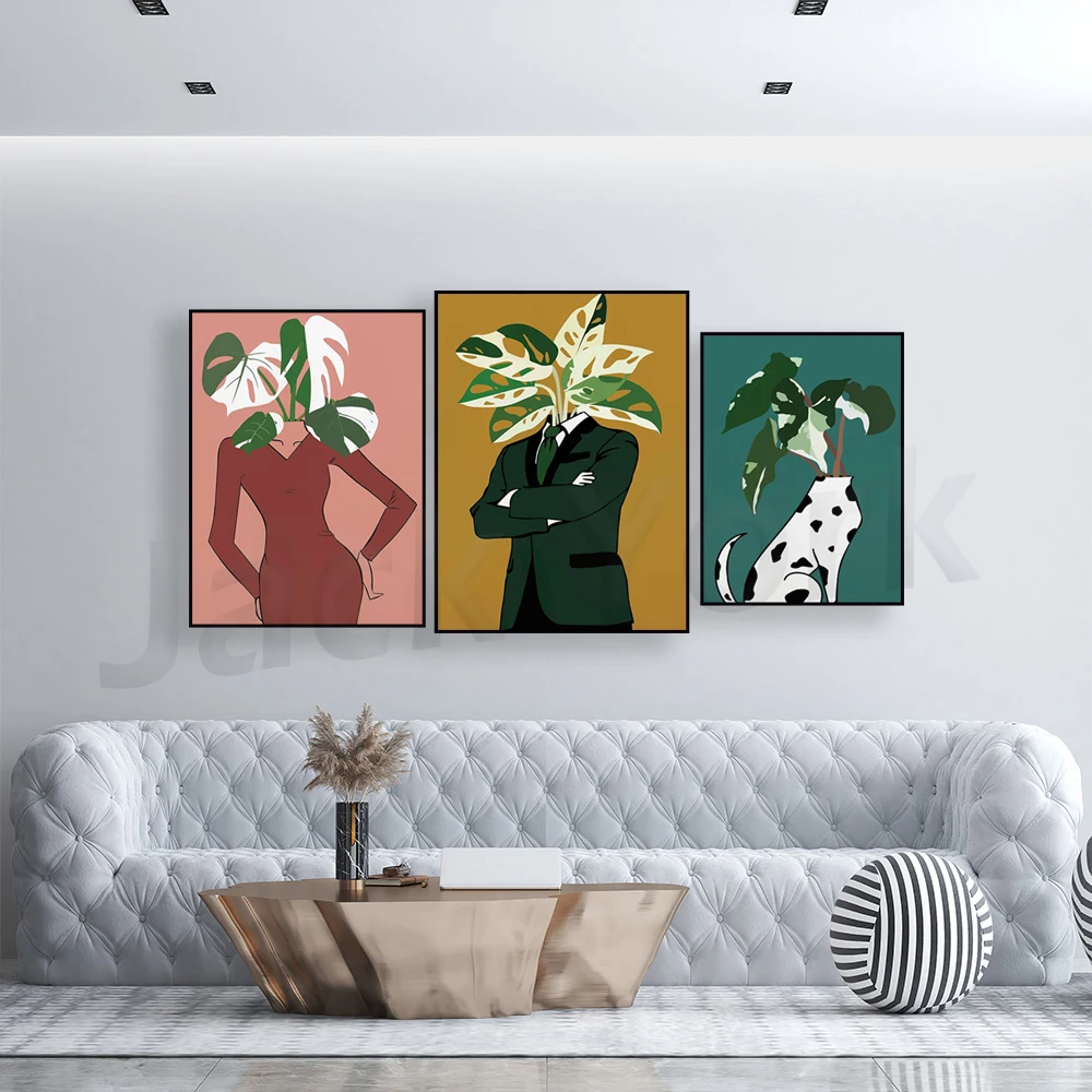 Monstera Albo in a burgundy dr – Monstera Adansonii recenzja i cena
