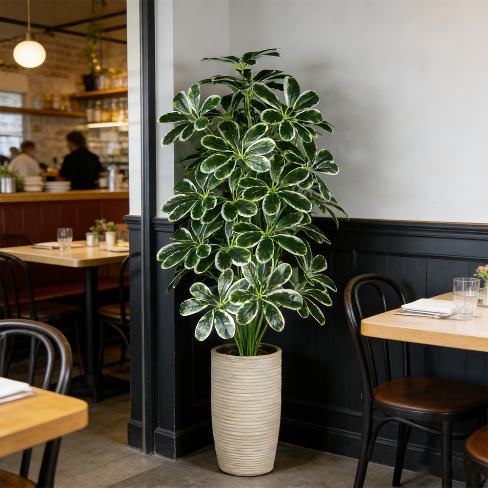 50-75cm Artifficial Maranta Pl – Dracaena Marginata recenzja i cena