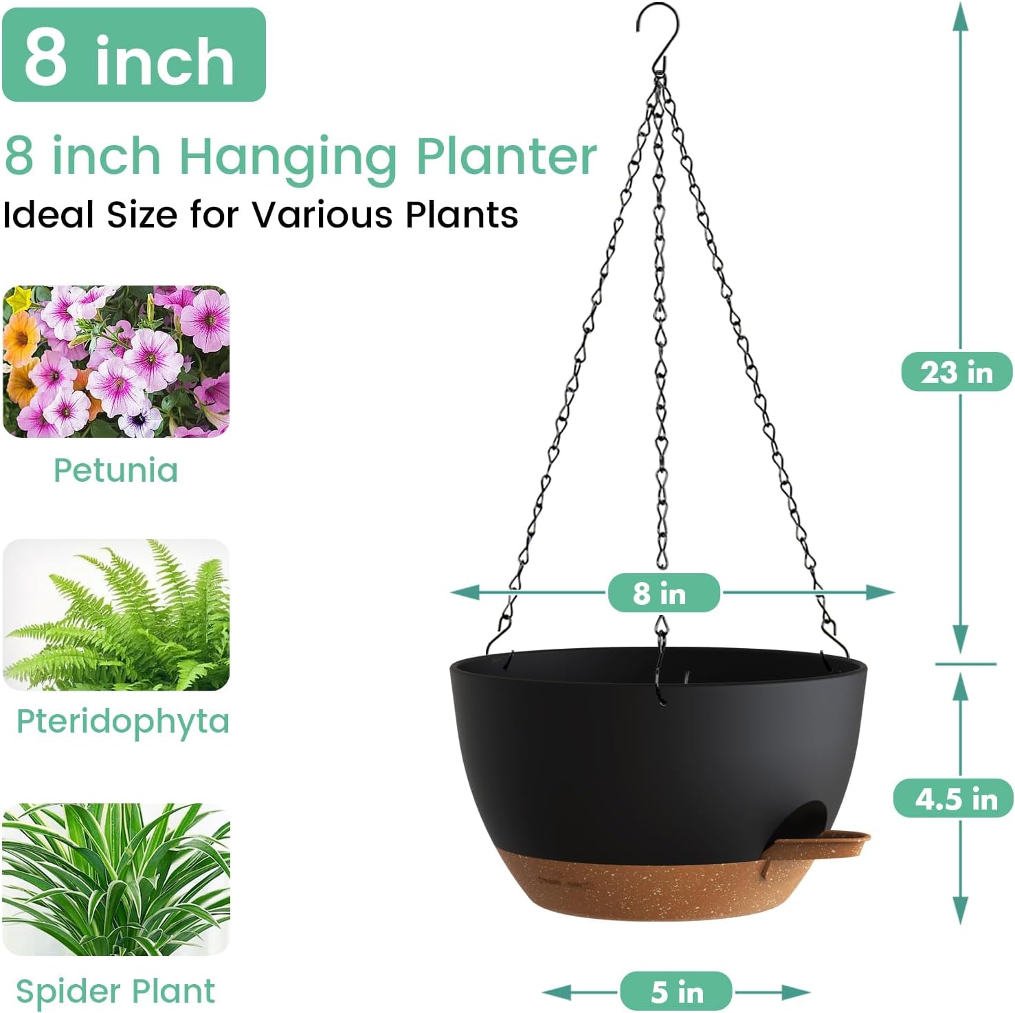 Self Watering Hanging Planters – Spider Plant Hanging recenzja i cena