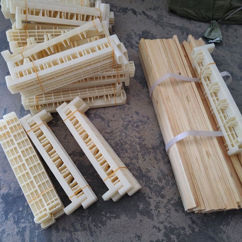 Bee Breeding Frames Plastic Ch – Begonia Rex recenzja i cena