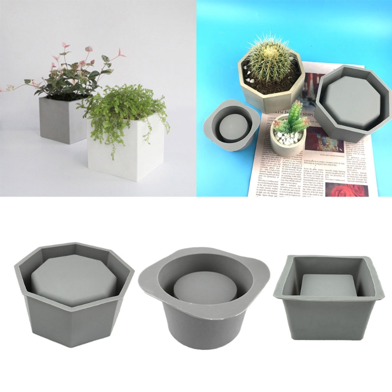 Handmade Succulent Planter Flo – Echeveria Succulent recenzja i cena