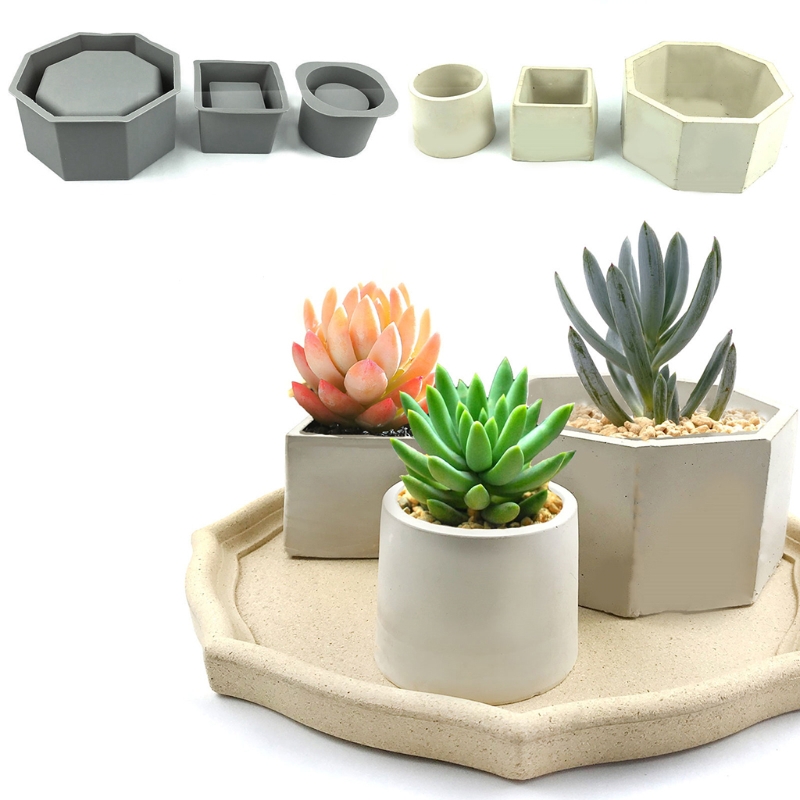Handmade Succulent Planter Flo – Echeveria Succulent recenzja i cena