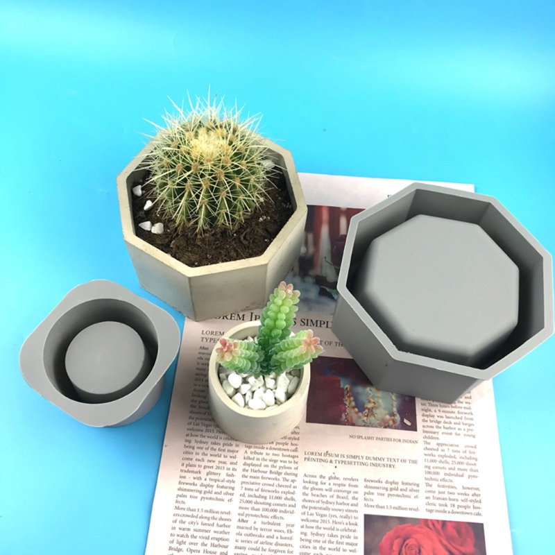 Handmade Succulent Planter Flo – Echeveria Succulent recenzja i cena