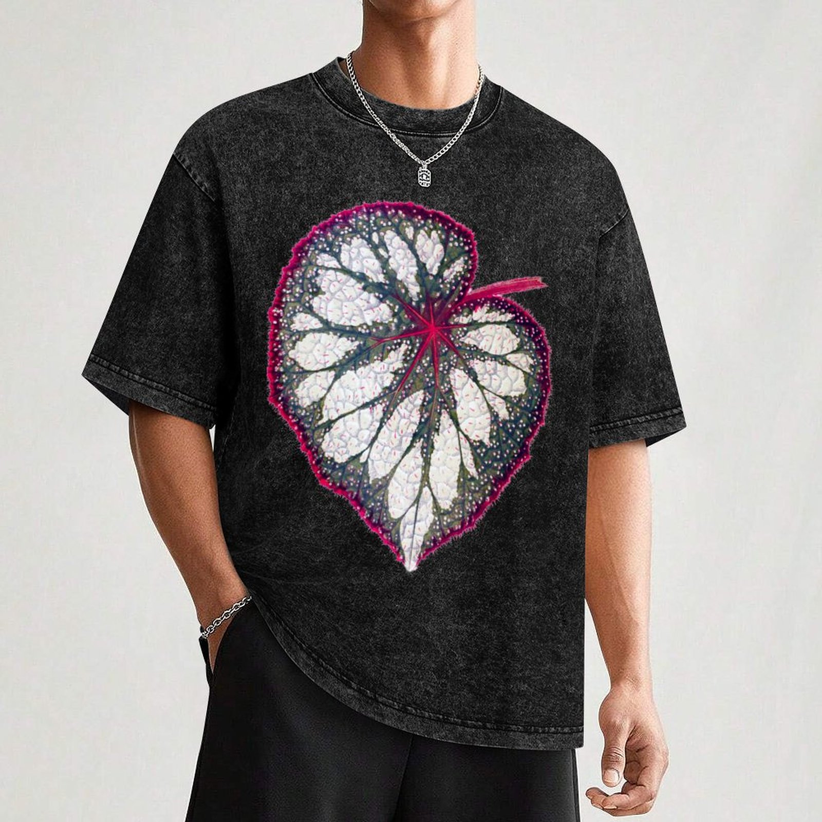 Begonia rex T-Shirt Holiday Si – Begonia Rex recenzja i cena