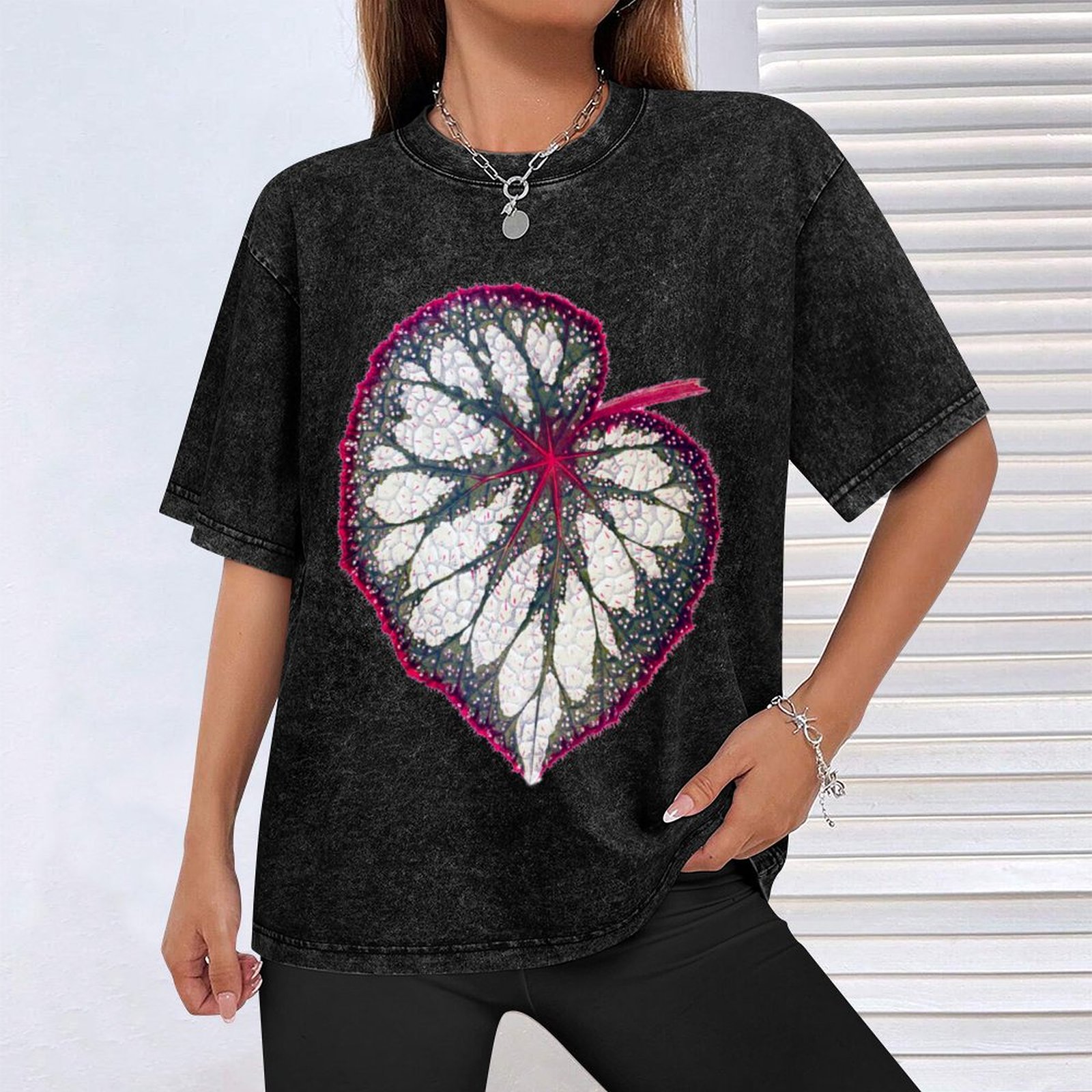 Begonia rex T-Shirt Holiday Si – Begonia Rex recenzja i cena