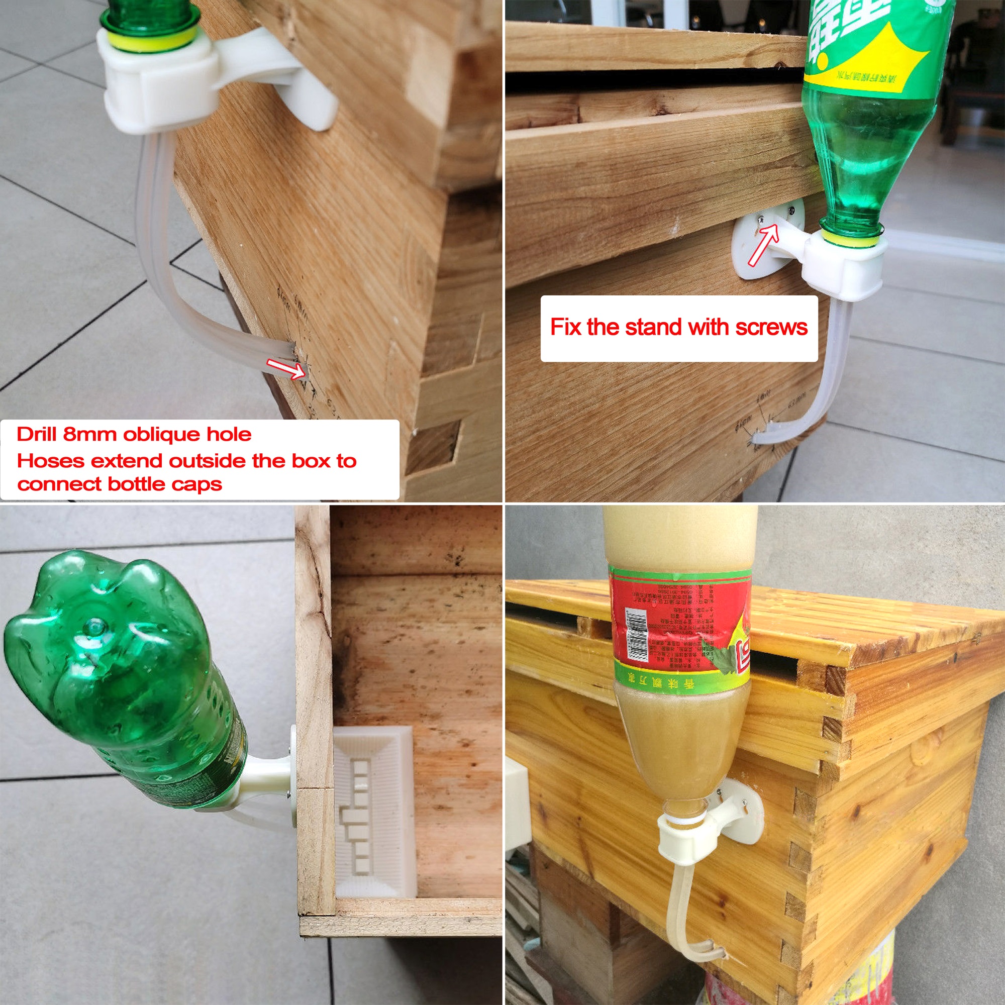2Pcs Automatic Feeding Drinker – Begonia Rex recenzja i cena