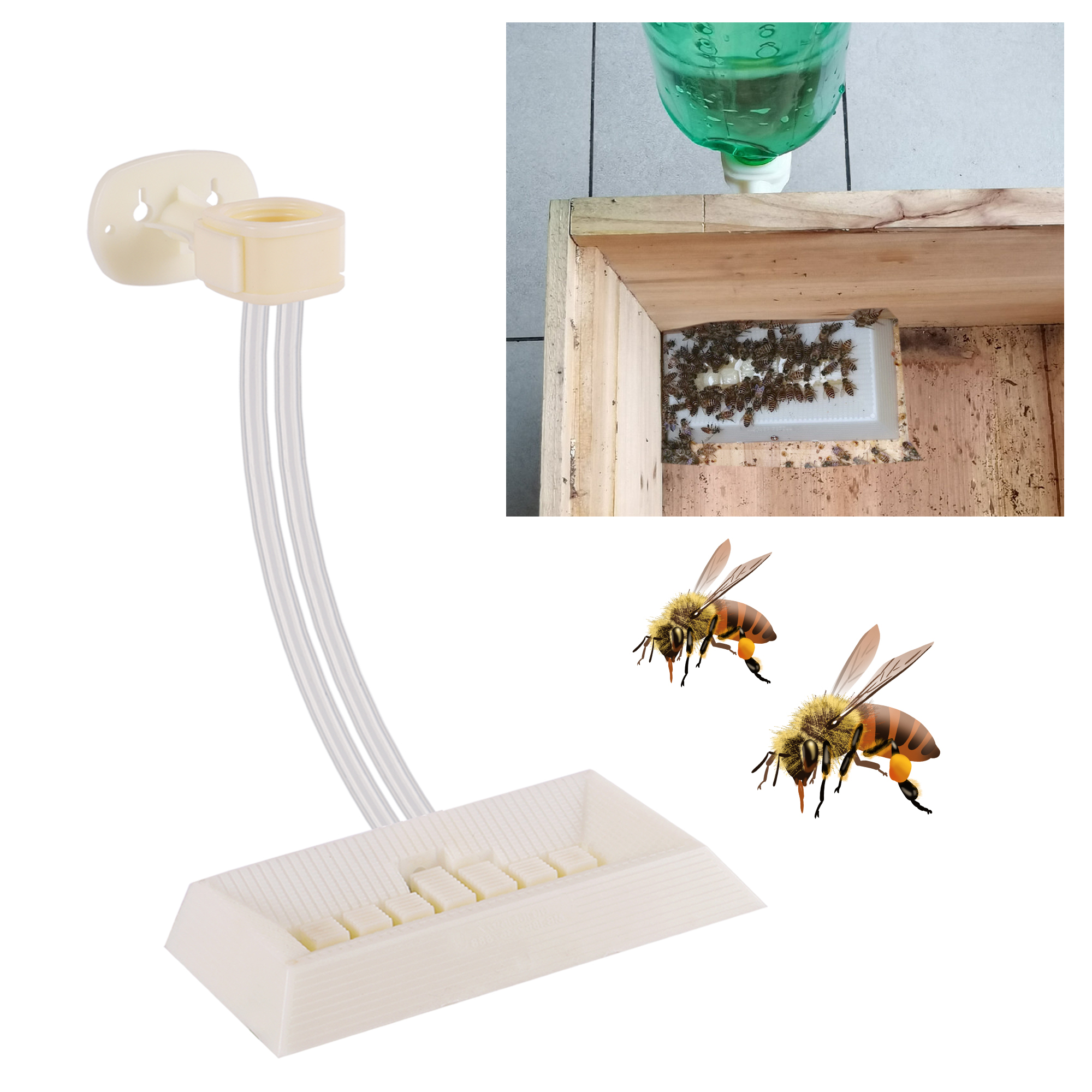 2Pcs Automatic Feeding Drinker – Begonia Rex recenzja i cena