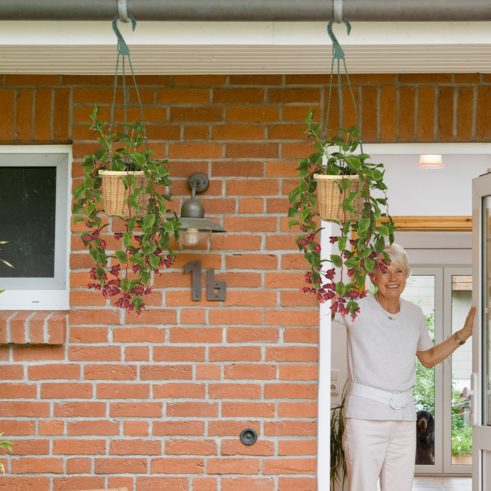 5Pcs Heavy Duty Hanging Basket – Spider Plant Hanging recenzja i cena