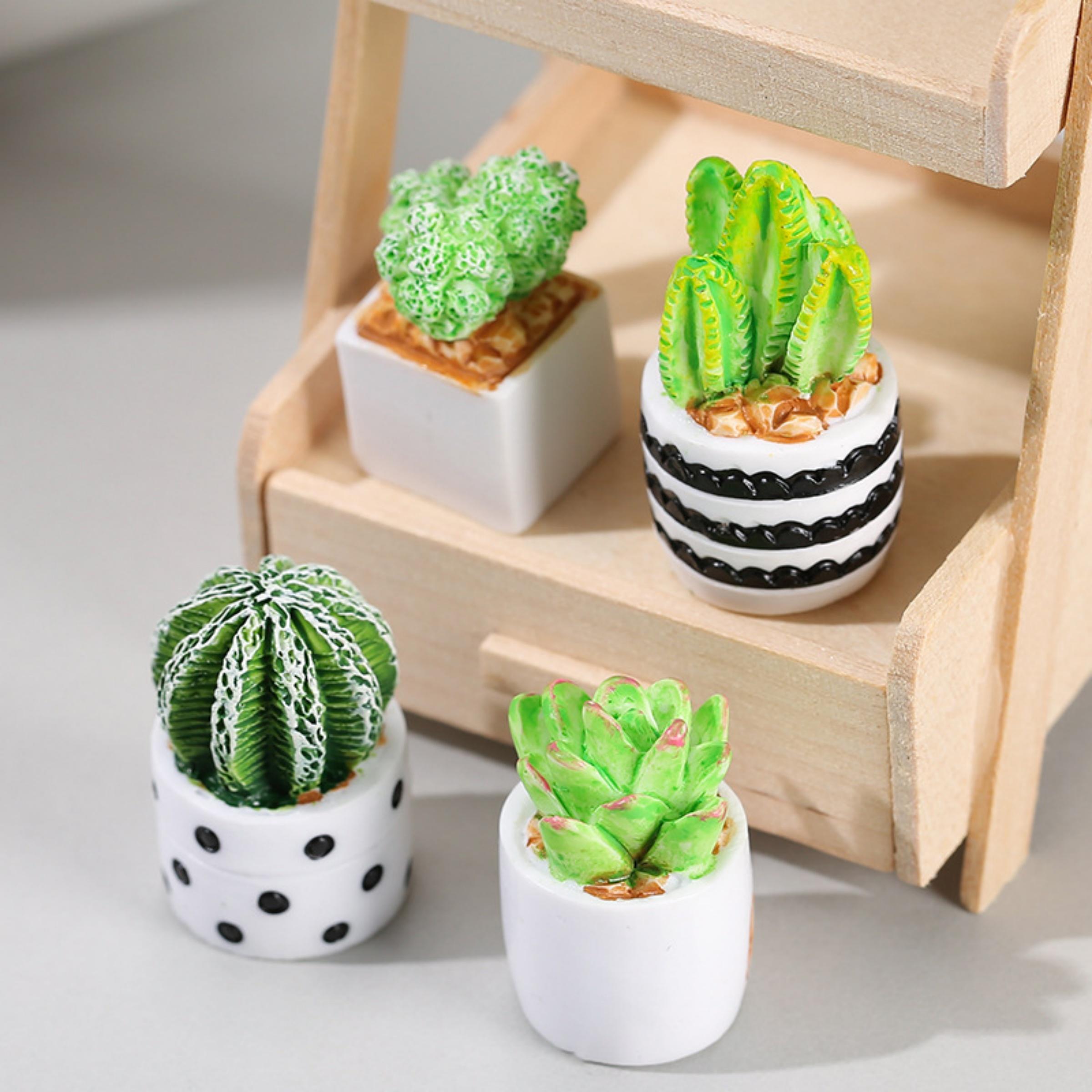 4-Piece Set of Cactus Succulen – Echeveria Succulent recenzja i cena