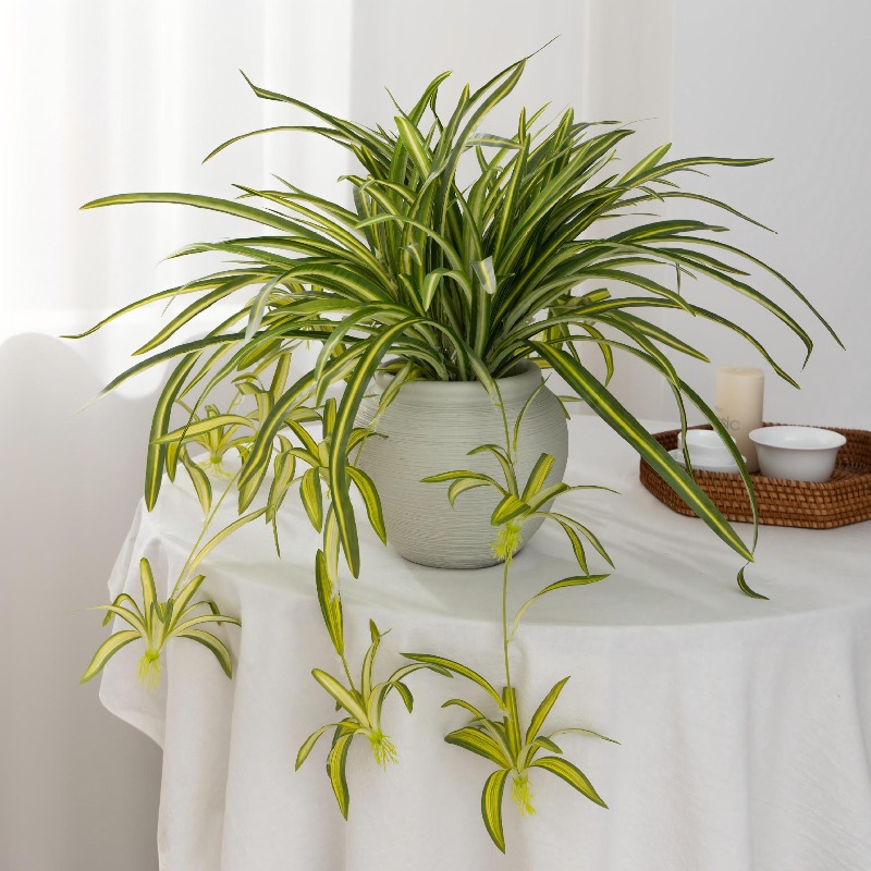Artificial Spider Plant Chloro – Spider Plant Hanging recenzja i cena