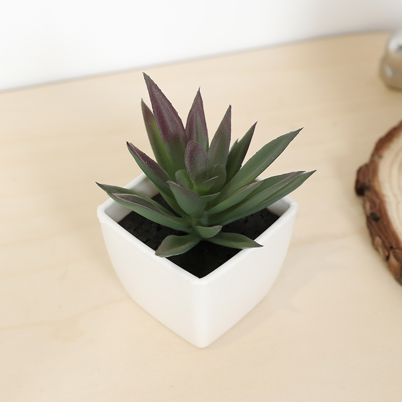 Mini Artificial Succulent Fair – Echeveria Succulent recenzja i cena