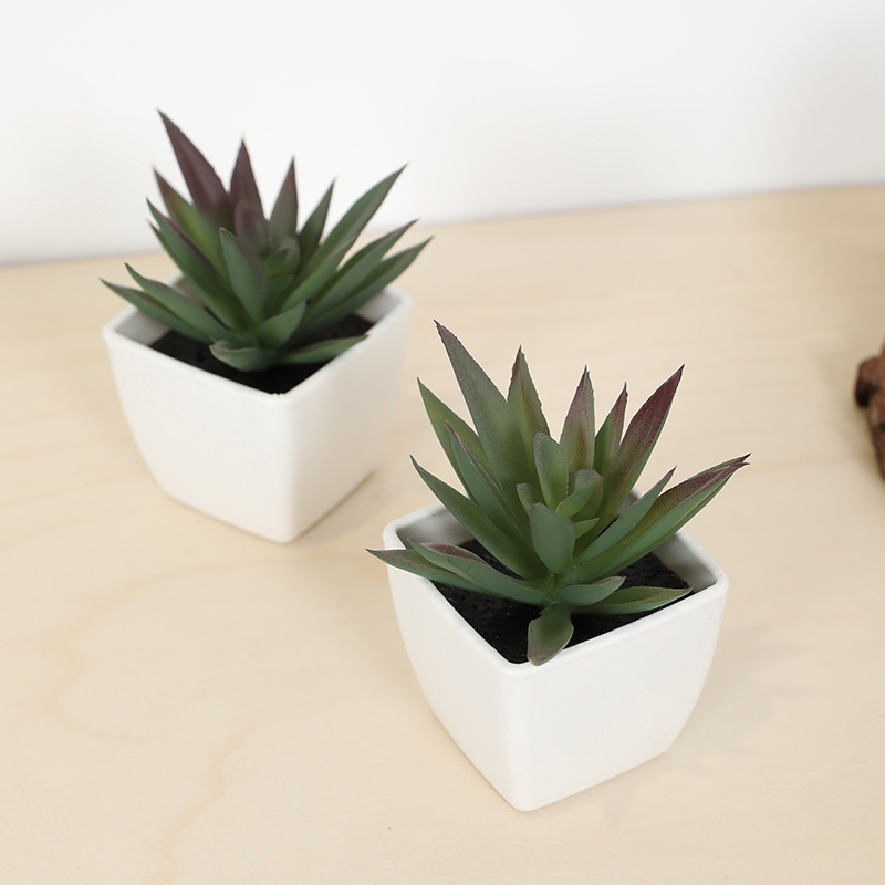 Mini Artificial Succulent Fair – Echeveria Succulent recenzja i cena