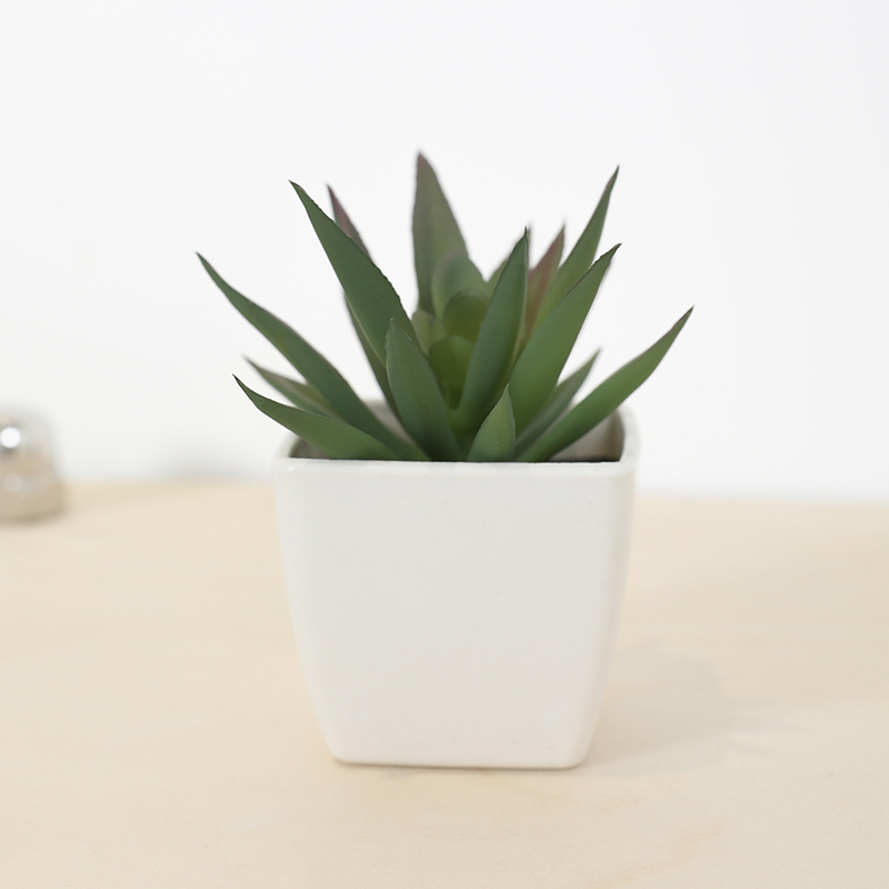 Mini Artificial Succulent Fair – Echeveria Succulent recenzja i cena