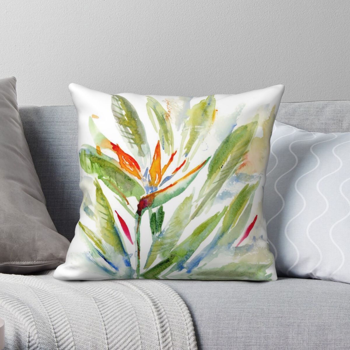 Bird Of Paradise Strelitzia Sq – Bird Paradise Strelitzia recenzja i cena
