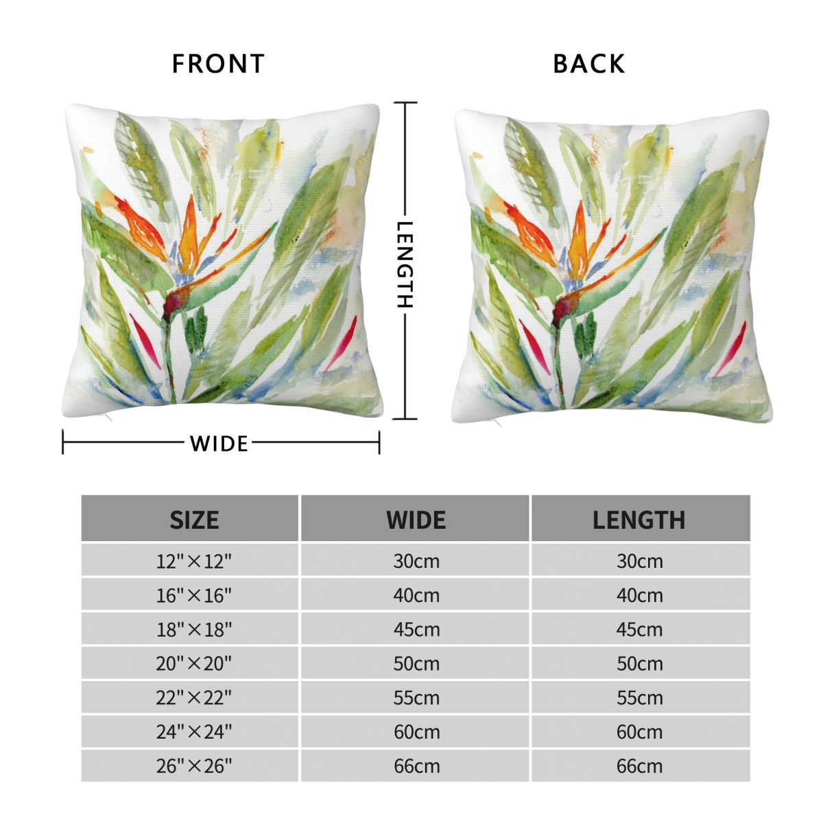 Bird Of Paradise Strelitzia Sq – Bird Paradise Strelitzia recenzja i cena
