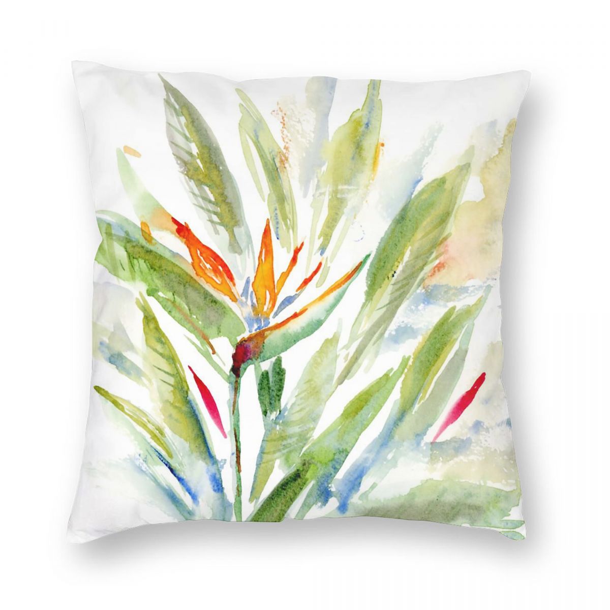 Bird Of Paradise Strelitzia Sq – Bird Paradise Strelitzia recenzja i cena