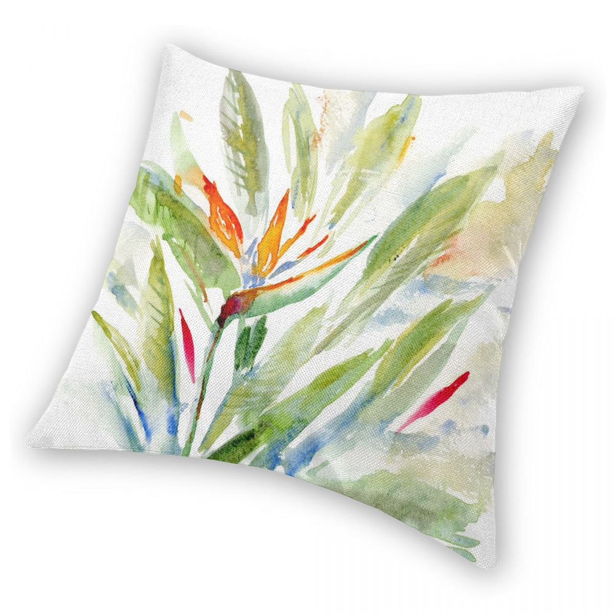 Bird Of Paradise Strelitzia Sq – Bird Paradise Strelitzia recenzja i cena