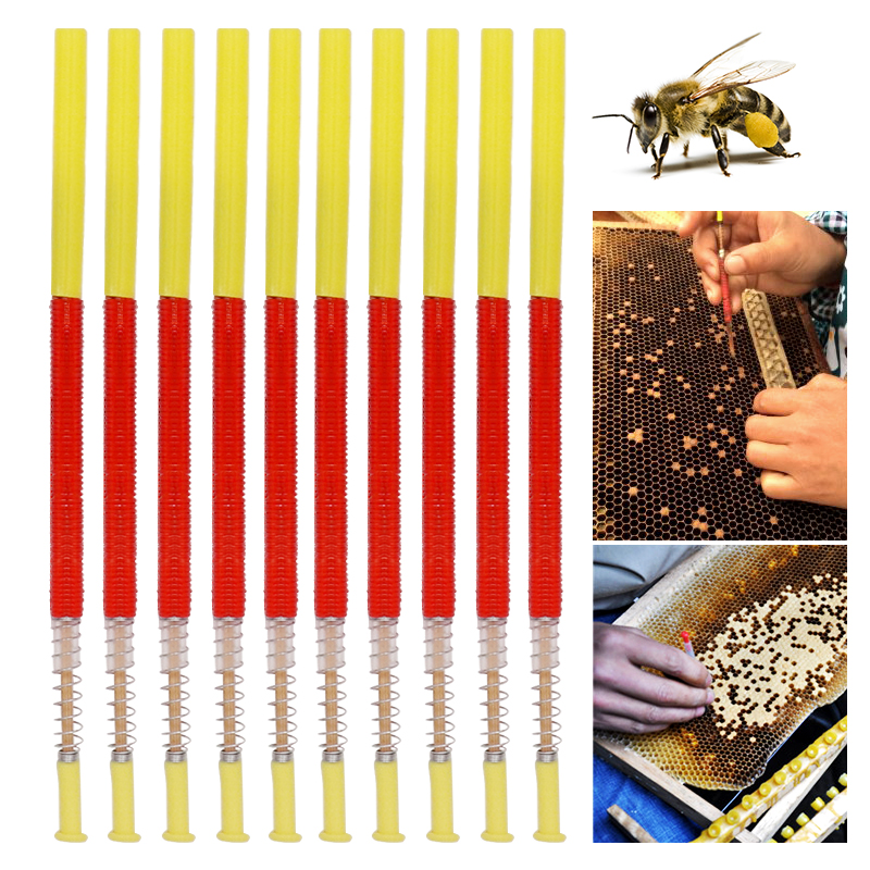 5/10Pcs Beekeeping Grafting To – Begonia Rex recenzja i cena